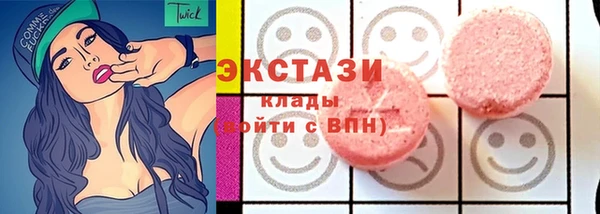 мдпв Богородск