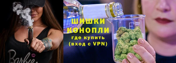 мдпв Богородск