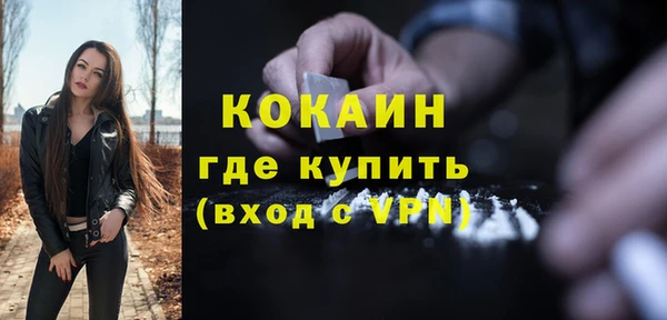 мдпв Богородск