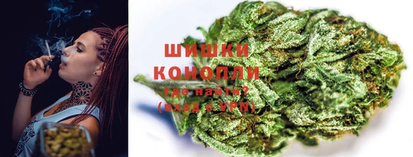 мдпв Богородск