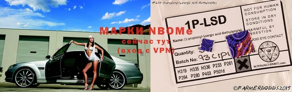 мдпв Богородск